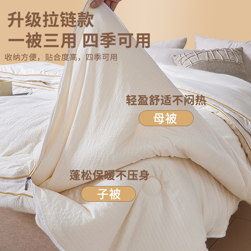 Soy fiber double quilt two-in-one quilt winter quilt thickened warm quilt student dormitory spring and autumn quilt core wholesale