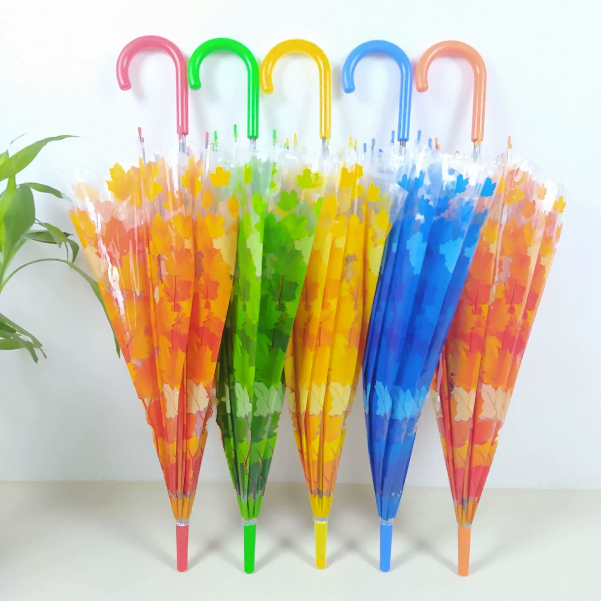 直杆长柄阿波罗伞植物枫叶款鸟笼伞公主伞蘑菇伞透明雨伞厂家批发