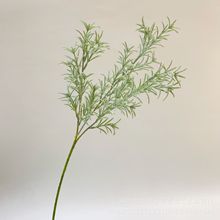 ֲqԵ y~ջҾGɫ֧ٻ ֲ~辰