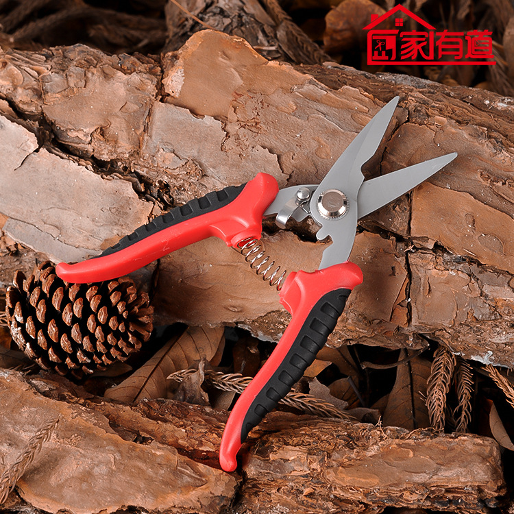 果树剪修枝剪刀钢剪树剪子家用花木葡萄修剪镐强力剪刀修剪枝