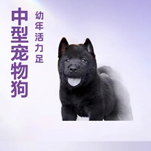 松狮五黑犬活体狗狗护卫犬田园犬幼崽小狗中型宠物狗玩赏伴侣犬