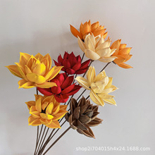 木荷花 木荷花品牌 图片 价格 木荷花批发 阿里巴巴 木荷花 木荷花品牌 图片 价格 木荷花批发 阿里巴巴