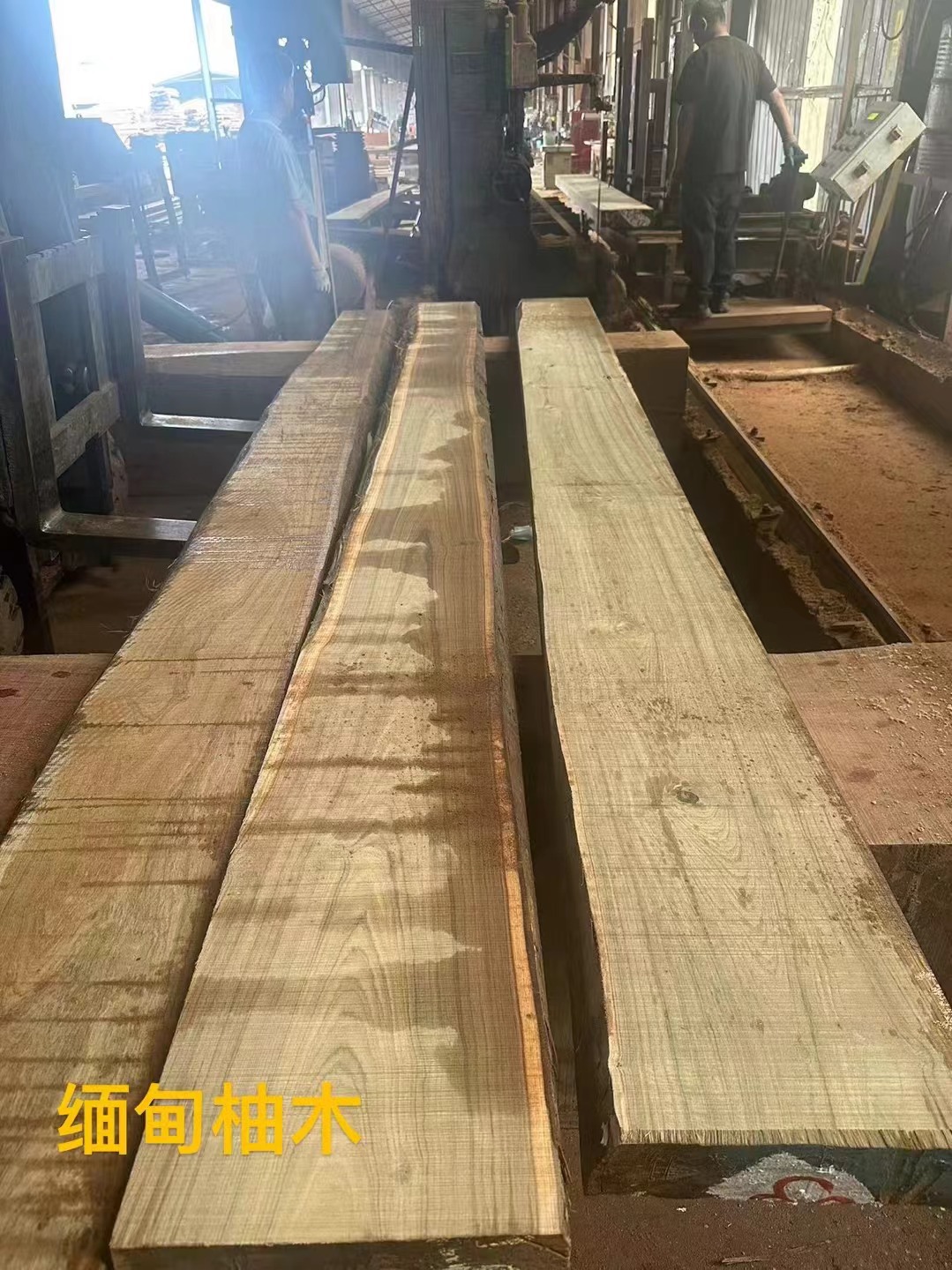 微信图片_20240627153524