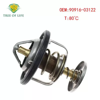 Thermostat, Thermostat