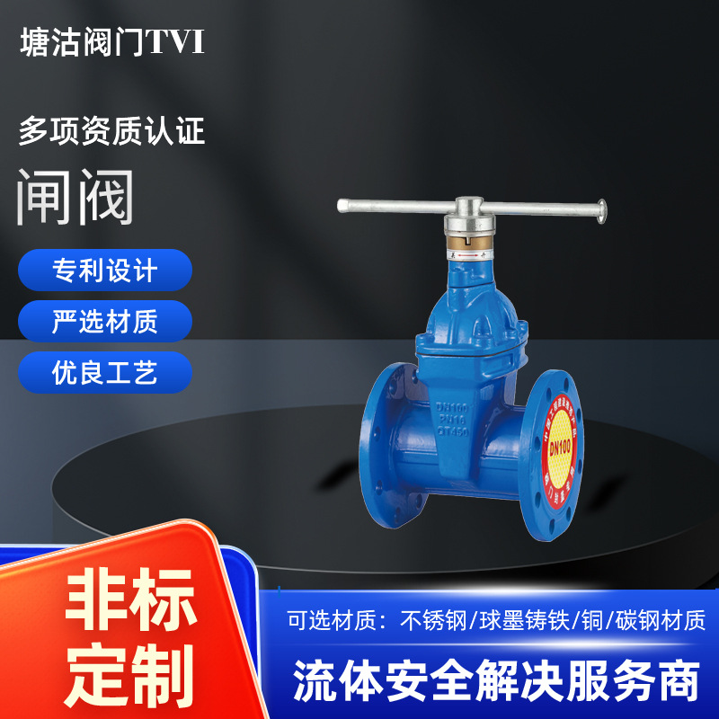 加密法兰闸阀PN16国标高压闸阀法兰式球墨铸铁水务DN65防盗闸阀