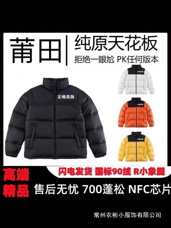 Pure Original American Version 1996 down Jacket 700 Fluffy White Duck down Long-Sleeved Tnf North Winter Thickeneded Warm Jacket Men's Wholesale