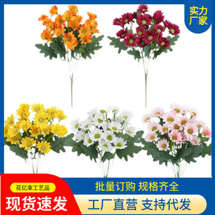 �羳���u��Ʒ�|���컨��ɫ�r�հ����Ҿ��bz���ٻ����滨���R�d