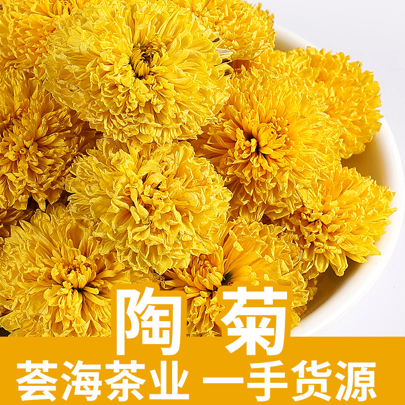 25年陶菊菊花茶黄菊花桃菊婺源黄菊新花乒乓球菊休宁黄菊花厂家