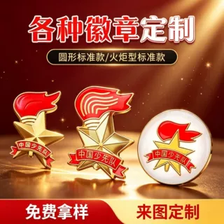 金属徽章定制为人民服务徽章学生滴塑校徽胸牌拷漆珐琅徽章党员徽
