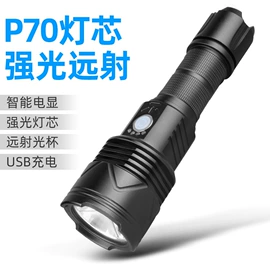 手电筒;手电筒;野营/露营灯