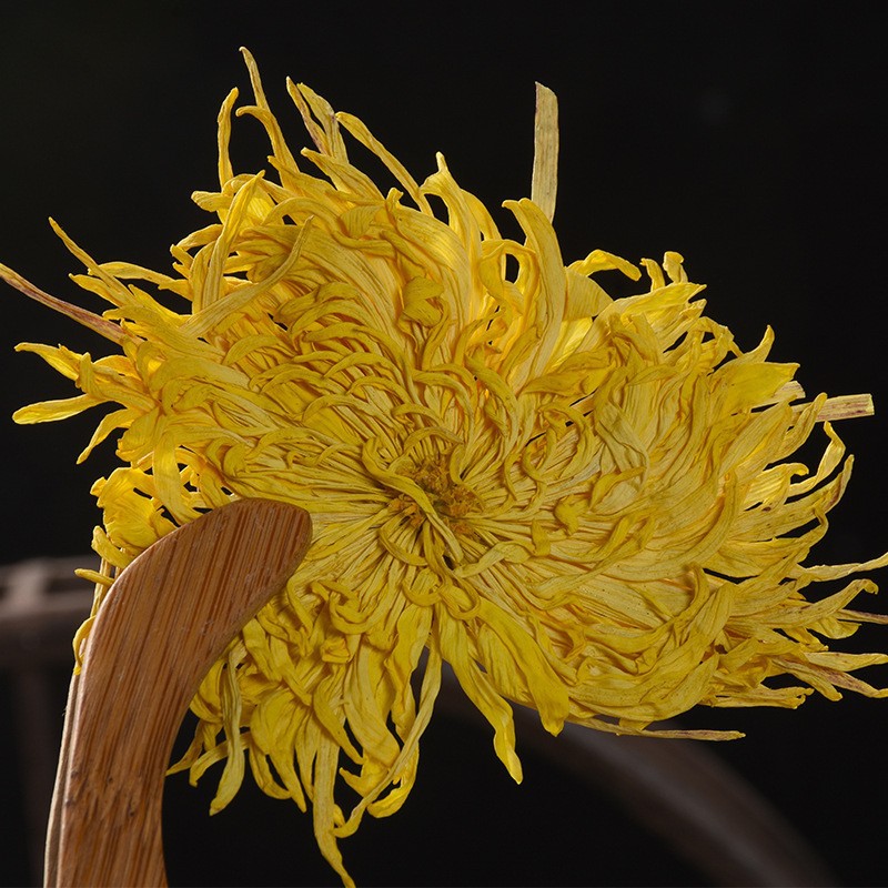 Golden Silk Imperial Chrysanthemum Tea (Chrysanthemum morifolium) — Dried Flower Herbal Tea, One Bloom Per Cup key features