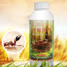 �_���t��ρș���x�ۄ� Ұ���r�ρ�D�� һ�C�˼tρș���l