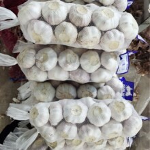 ����˾������ڴ��� �|�����C ȫ�깩����Ʒ����garlic