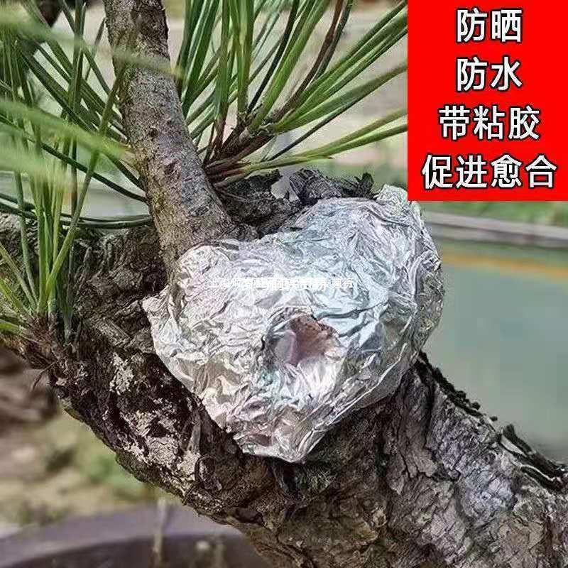 锡箔纸批发盆景锡纸植物伤口锡纸树口树枝切口贴树木伤口愈合锡纸