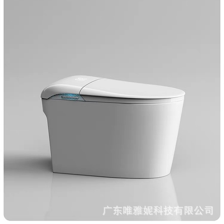 Nuevo inodoro inteligente (IK-482) hogar totalmente automático en un asiento de inodoro calentador de descarga automática