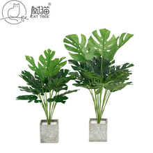 ����������18�~�˽ǽ�P�ָд��~�Gֲ�b�ȸ��������ֲ����