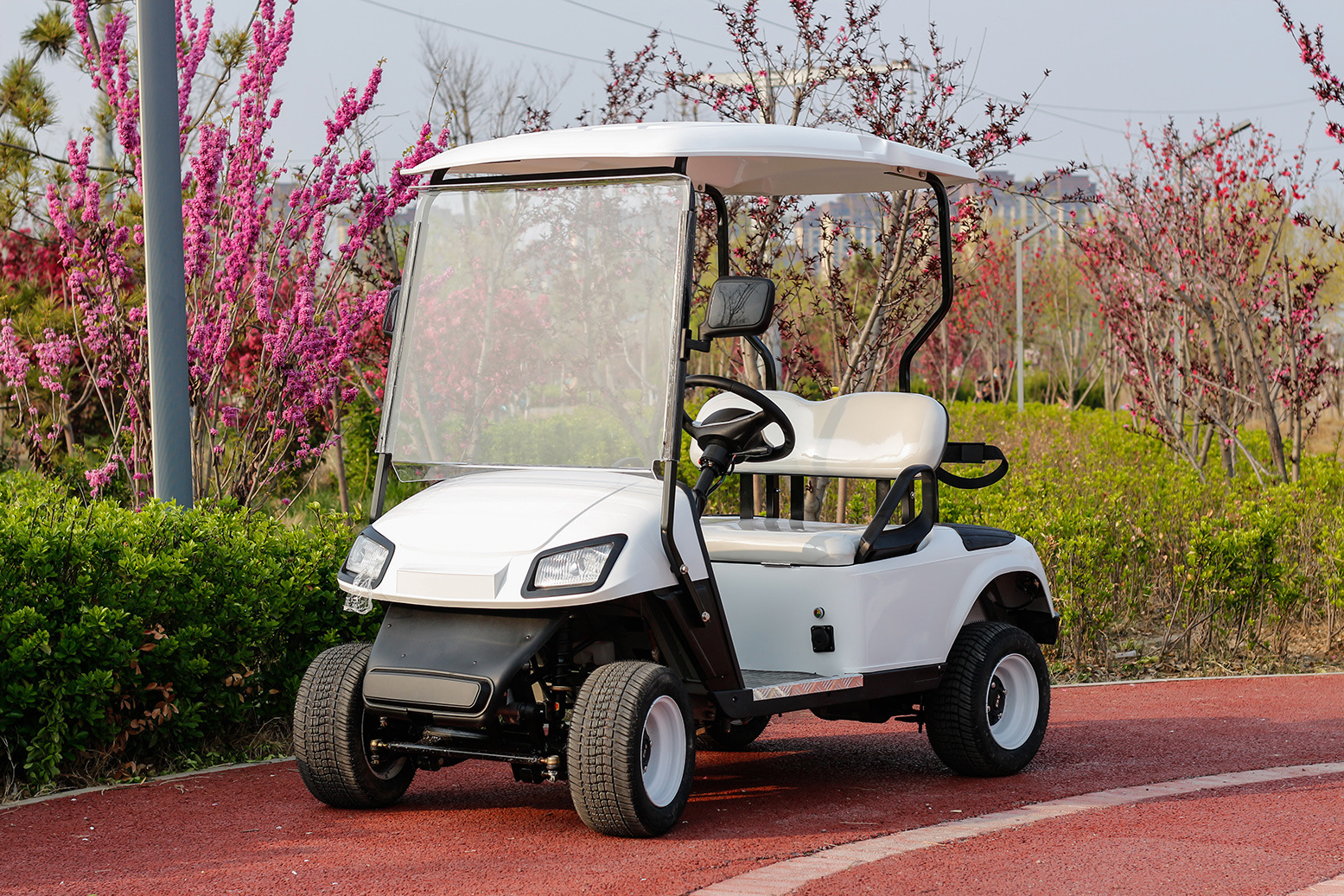 Gaofe Golf Cart 4/6 Seater Sightseeing Car Electric Golf Cart (Auto Parts and Accessories) - 2-seater-golf-cart