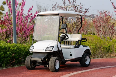 Golf Cart 4-Seater 6-Seater Tourist Attraction Sightseeing Vehicle Factory Area B&B Hotel Reception Electric Golf Cart (Elektrikli qolf avtomobilləri) - 2-golf-carts