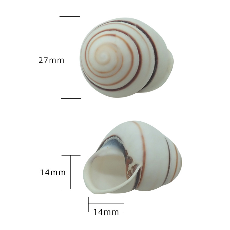 3cm 게에 적합한 x30 흰 꽃알