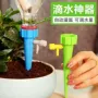 滴水定时家用自动渗水器