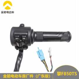 金箭电动车广东版ES8擎F60TSF850TS原厂原装组合开关总成油门转把