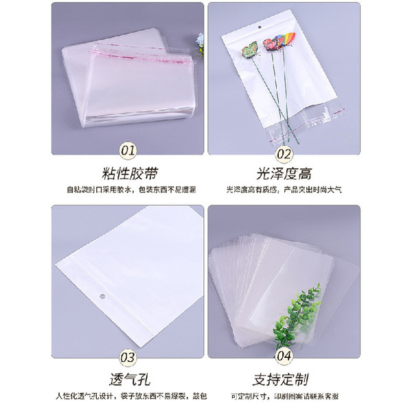 Transparent bag