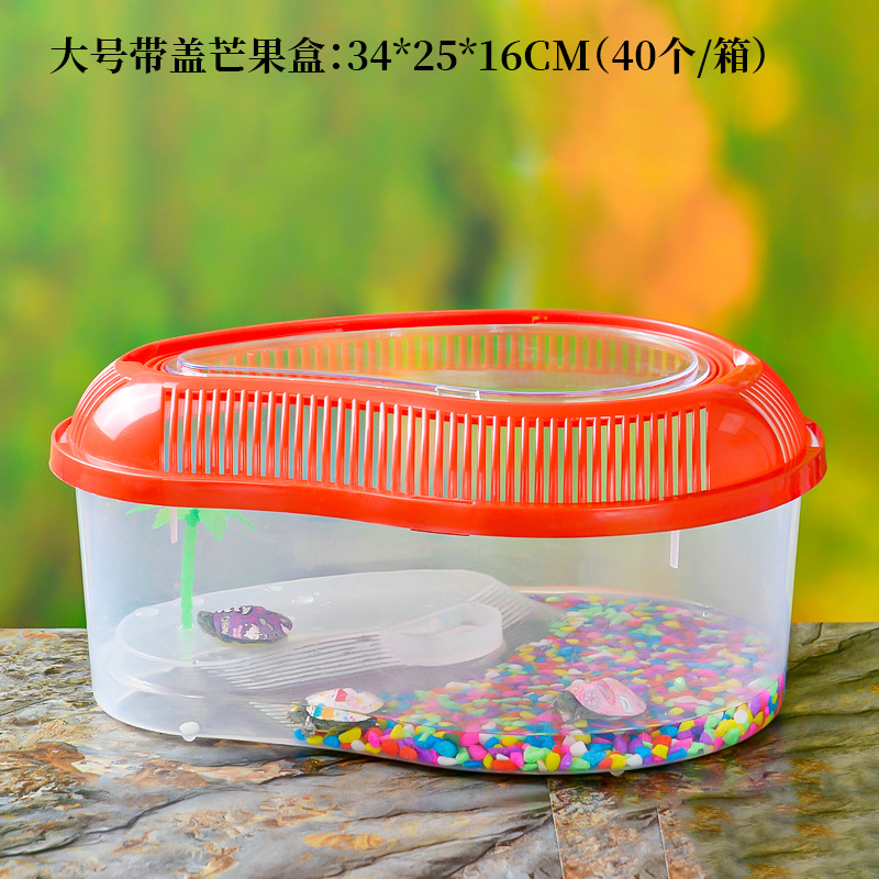大中小号手提塑料金鱼缸 透明乌龟缸 爬虫宠物饲养运输盒厂家批发详情21