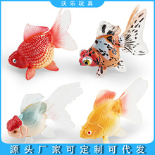 跨境儿童认知仿真观赏鱼金鱼模型鹤顶红鎏金鱼锦鲤装饰摆件玩具