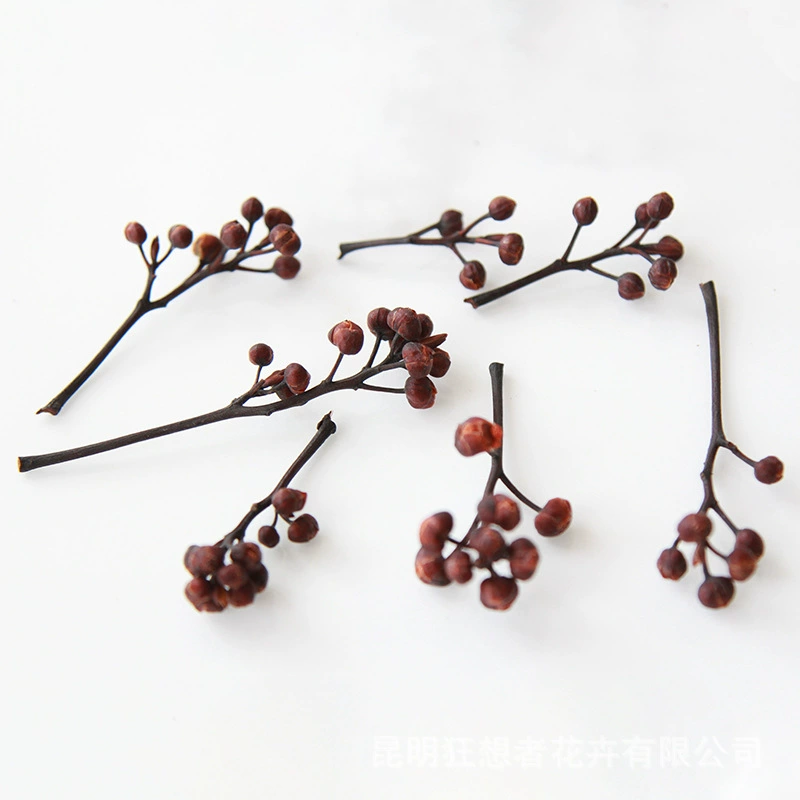 Dry Flower DIY Materials [Dry Fruit] Madman Sommelier Candle Plant Simagon Handmade Class Dry Flower Dry Branches Material