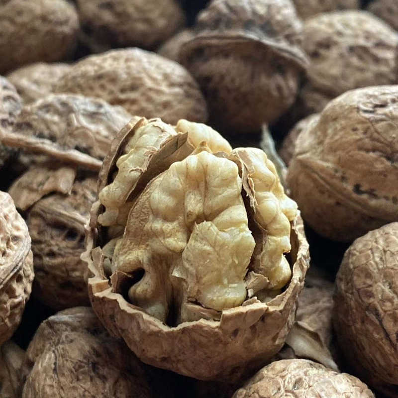 云南老树核桃助农干核桃5/9斤送夹子无漂白原色发货大果一件代发|ms
