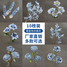 F{ĻcY÷滨{ɫ·廨~