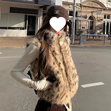 2026��ʽ���yë�q�ٴ���洩�R�������ﶬ�OӋ��Ƥ�ݟo����|����