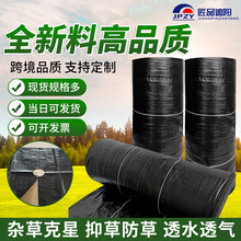 ���@�����Ƭ�ֲݳ��ݲ��@���s�ݷ��ݲ����ݵز�͸ˮ�@ˇ��Ʒ͸��