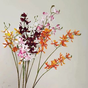 ��� ���滨 �f���m��������mܷ���m�ٻ����l�Ҿ��b�