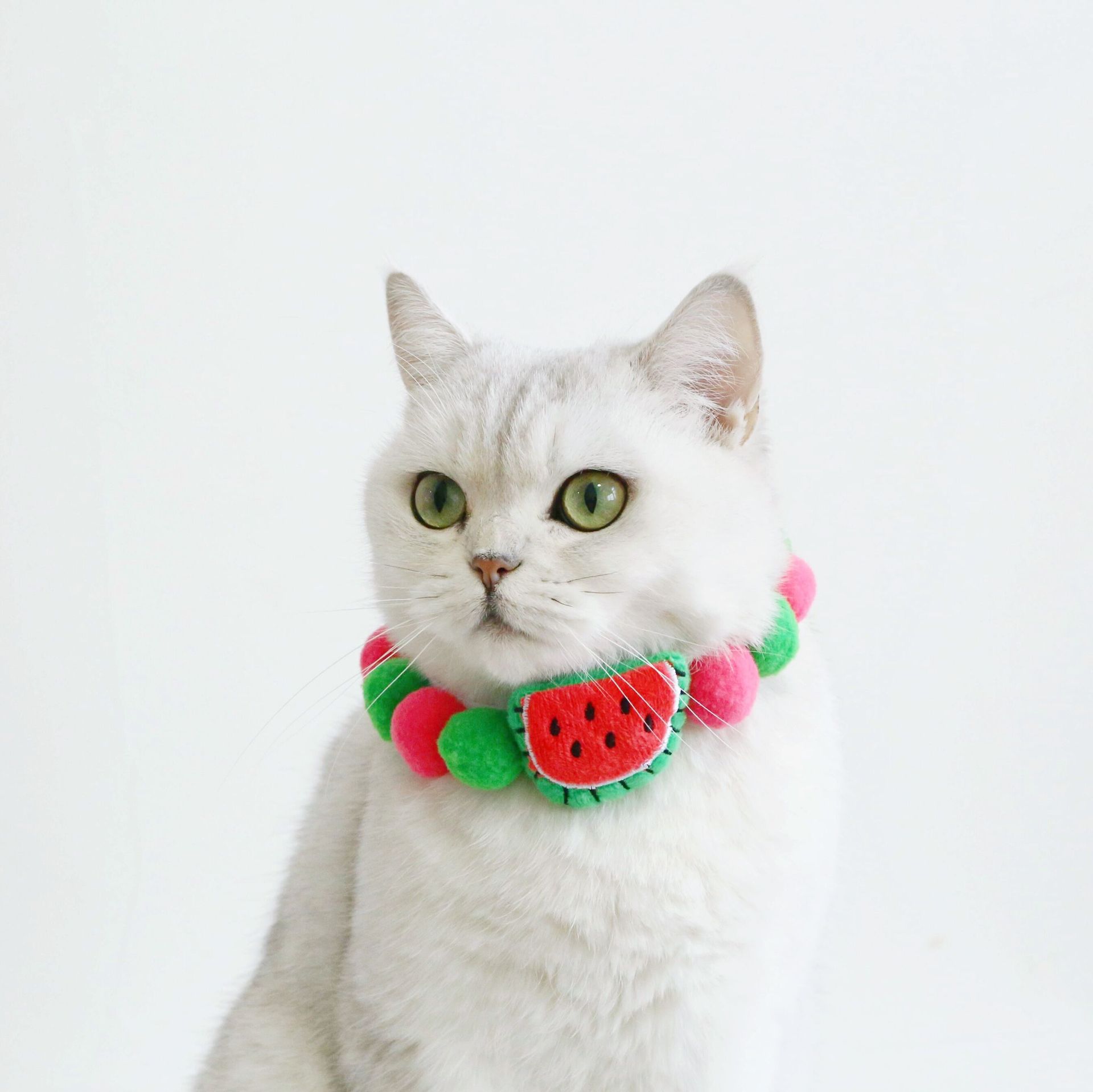 Mascotas gatos perros dibujos animados peluche frutas coloridas bola collar sandía fresa acessorios lindos buckle