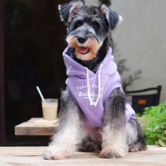 2024年新作ペット服メーカー直販 犬用秋冬カジュアルスウェット ペット服卸売