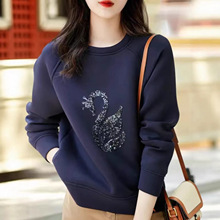 ��a�n��̽��l�°ٴ�Ů�b2026�����¿�r�Ќ����@�����e���º��s