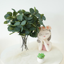 �羳�����ȼ����~ ��֧�O���~���� �҃����������b����ȼ���