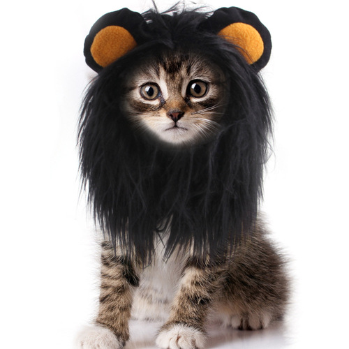 Cross-border manufacturer headwear, wigs, hats, funny costumes for pet cats, puppy and cat costumes, lion headgear