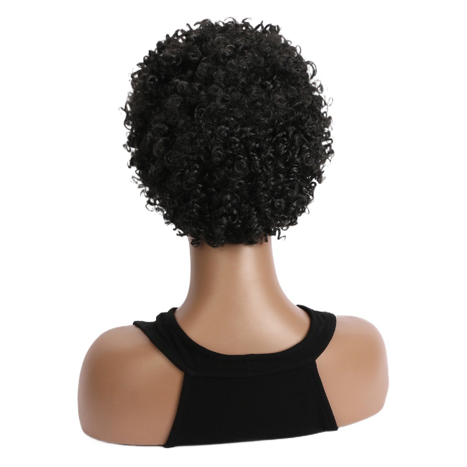 AliExpress nueva moda corto Pelo Rizado europeo y americano moda peluca negro pequeño rizado elástico malla sombrero femenino en stock