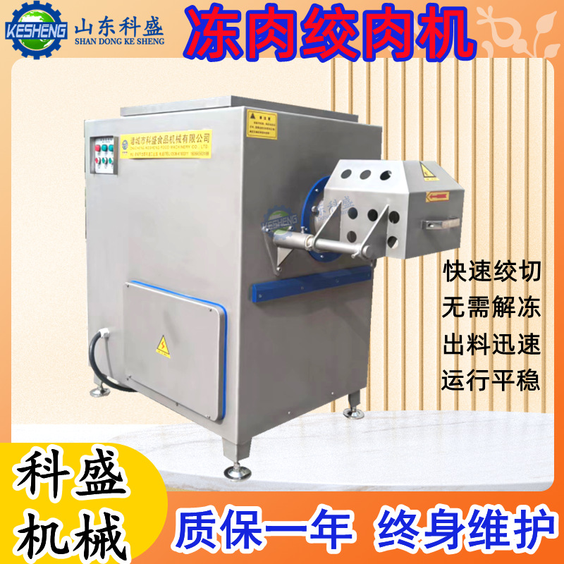 商用冻盘绞肉机 250型冻肉绞肉机 冻肉破碎绞切一体机
