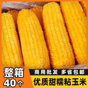 �|���Sɫ��Ŵ���װ�40��һ̖�������rŴ�����������l��������װ�