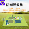 Electricity supplier On behalf of outdoors Picnic Moisture-proof pad thickening Spring Stall Meadow Mat Moisture-proof Picnic mat ins Wind