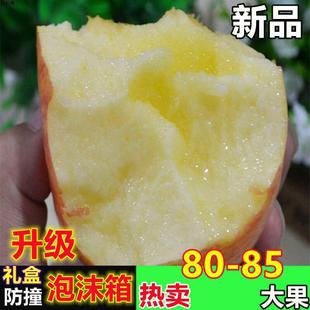 �\���R⢼t��ʿ������r���������������S�C�оG���O��ˮ���r