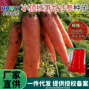 С피t�S�Ŵ煢���}���N�Ӽ�ͥ�r���r��ˈ@�N���}�����߲˷N��