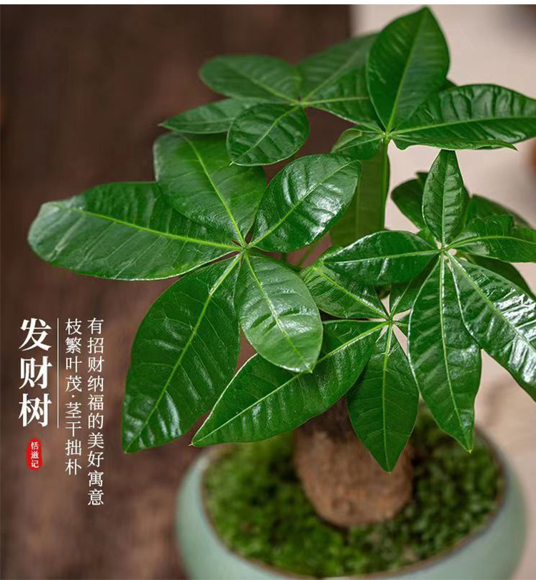 731214176074dde85735b-f30f-402