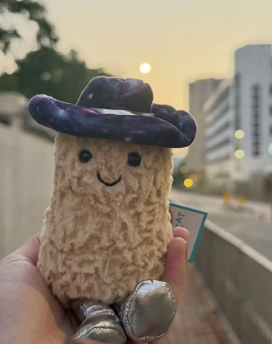 元のイギリスジェリーcatシリーズのぬいぐるみの超全合集3b斉防塵袋のバーゼル熊の手の花