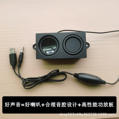 Built-In DIY Speaker Dual – Car speaker/subwoofer