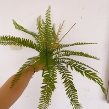 ����ާ�ֲ��18�~��˹ާ��z��ާ�~�Gֲ�Ҿ��b�˹�Pβާɢβ��