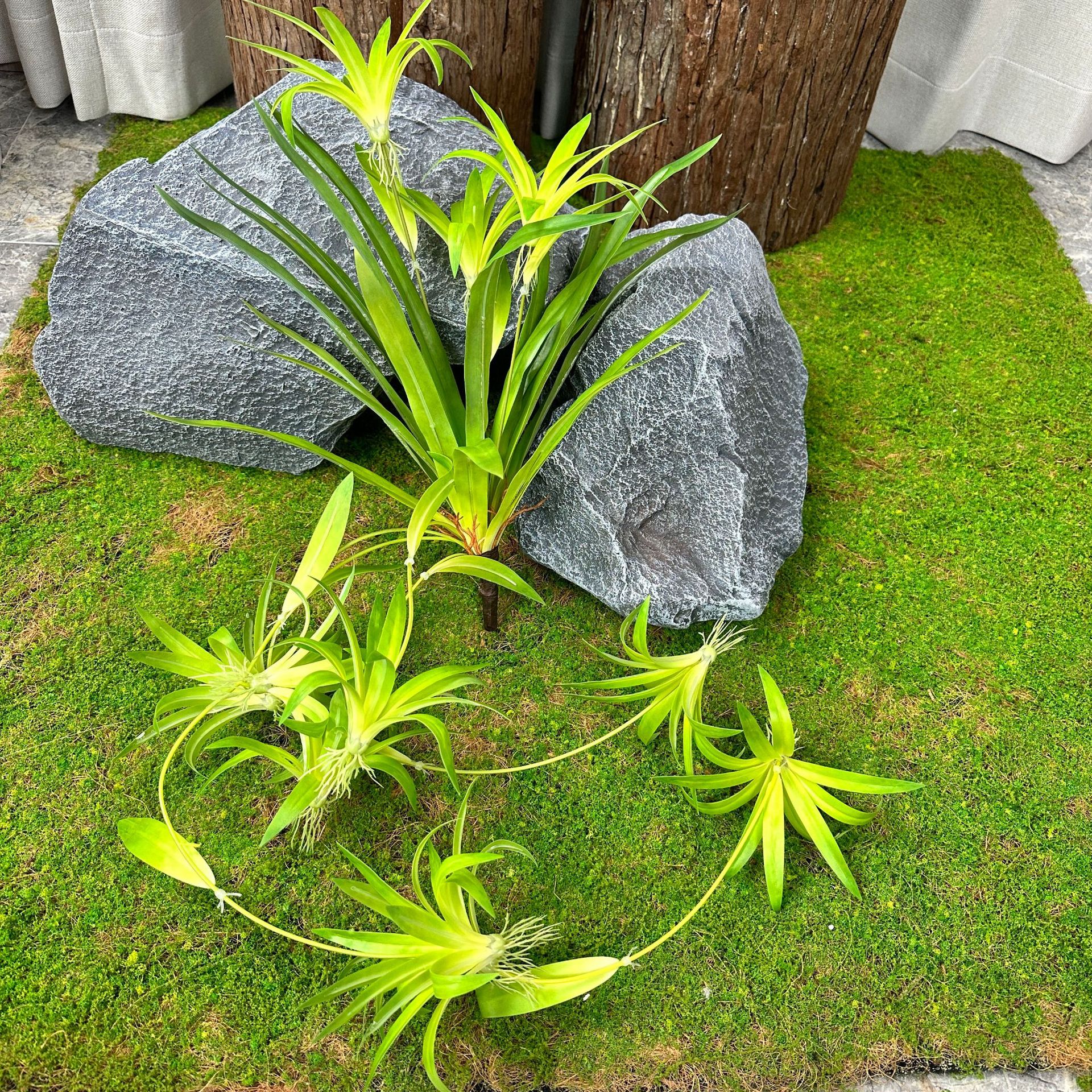 Simulación de plantas verdes Simulación de Phnom Penh Sensación de plantas de hierba araña Pared decorativa Simulación de plantas Decoración de césped falso